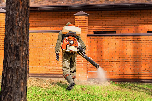 Trusted Termite Control service in Butler, PA - Nex Pest Control
